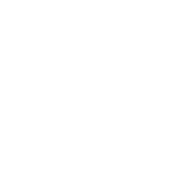 instagram-icon